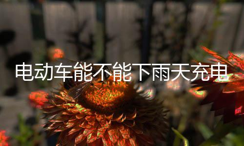 电动车能不能下雨天充电