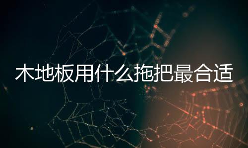 木地板用什么拖把最合适?