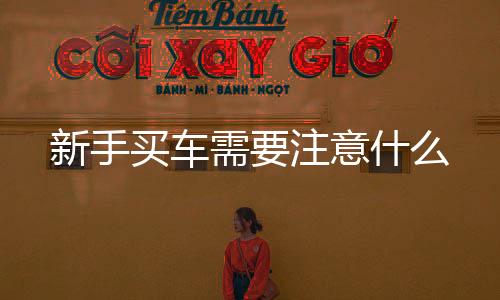 新手买车需要注意什么